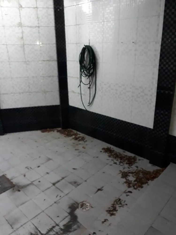 Casa, 4 quartos, 300 m² - Foto 9