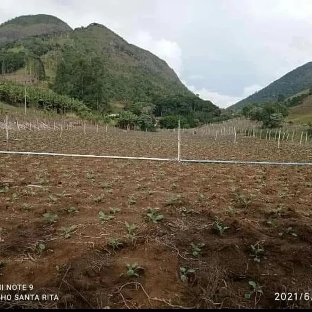 Sítio, 10000 m² - Foto 4
