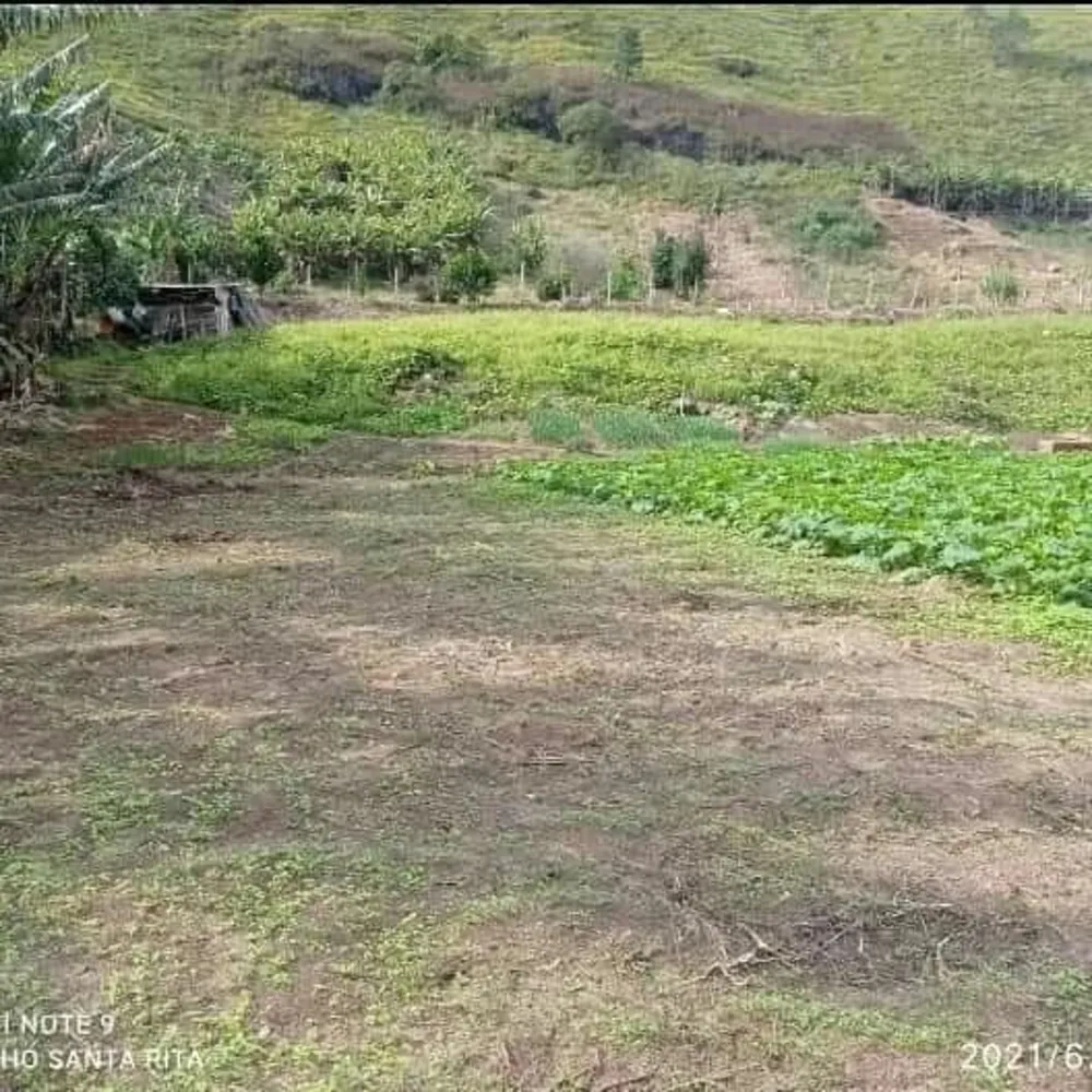 Sítio, 10000 m² - Foto 5