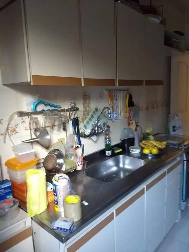 Casa, 4 quartos, 540 m² - Foto 12