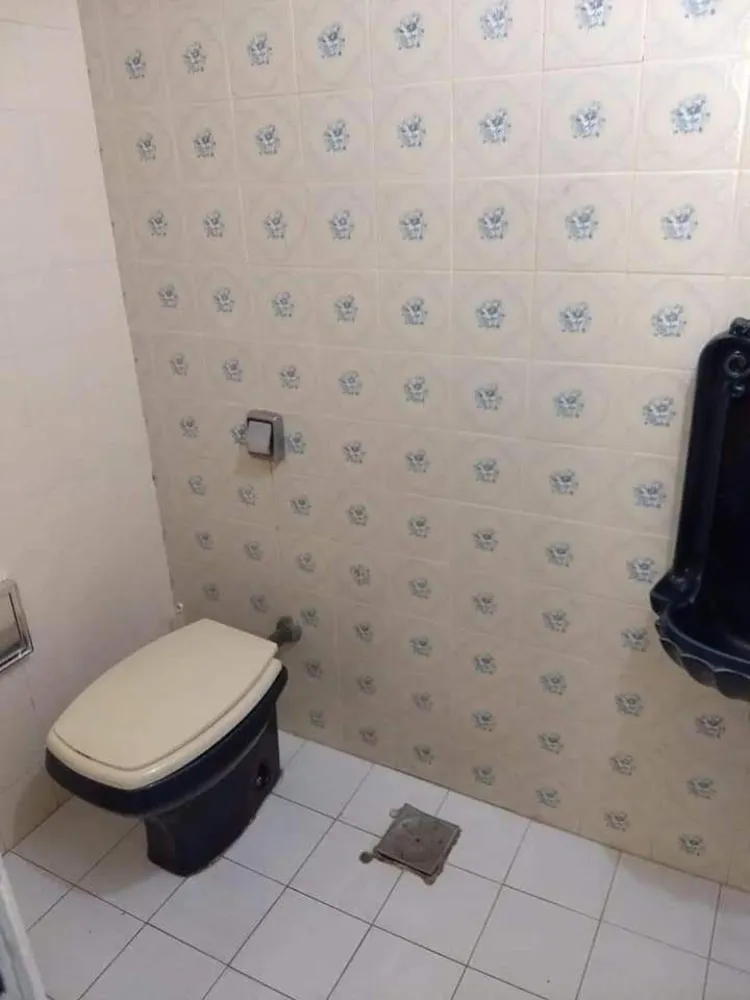 Casa, 4 quartos, 540 m² - Foto 6