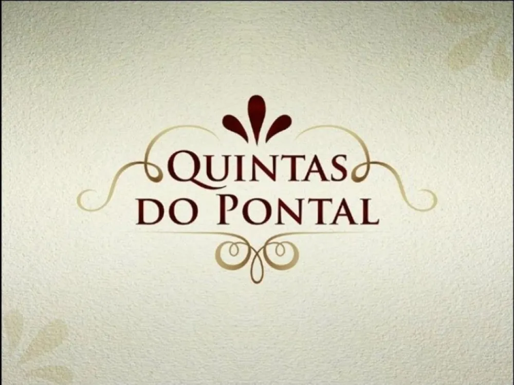 Casa, 5 quartos, 800 m² - Foto 47