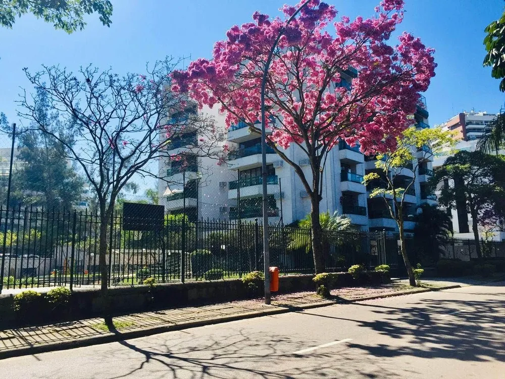 Cobertura, 4 quartos, 300 m² - Foto 17