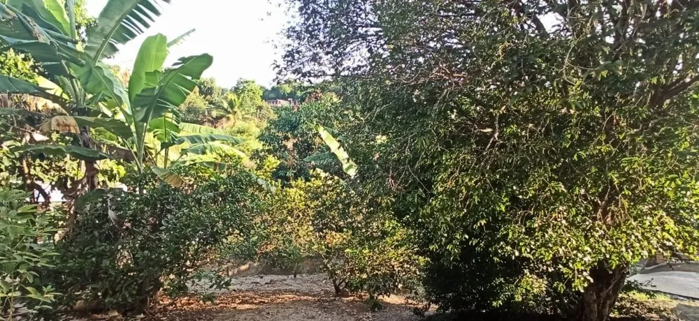 Casa, 4 quartos, 1054 m² - Foto 4