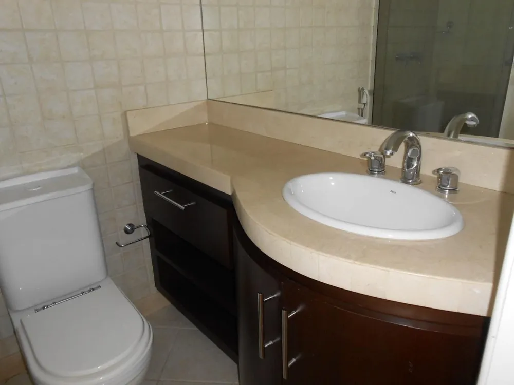 Apartamento, 4 quartos, 256 m² - Foto 22