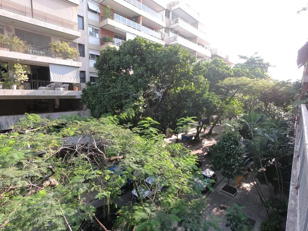 Apartamento, 3 quartos, 210 m² - Foto 10