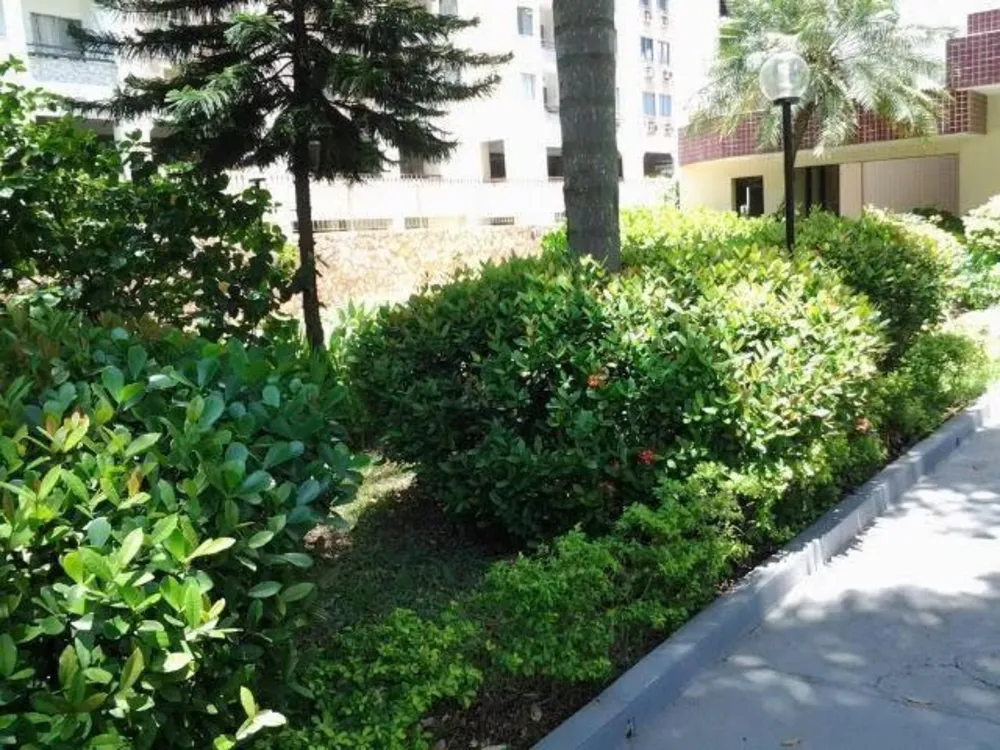 Cobertura, 2 quartos, 66 m² - Foto 18