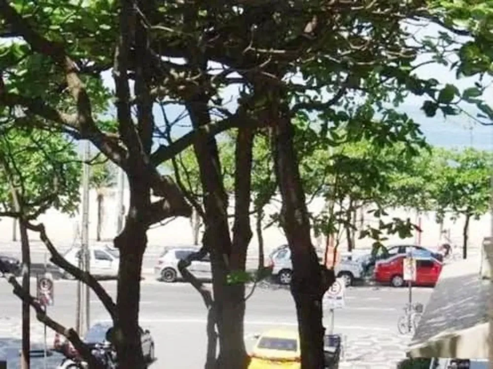 Apartamento, 3 quartos, 190 m² - Foto 18