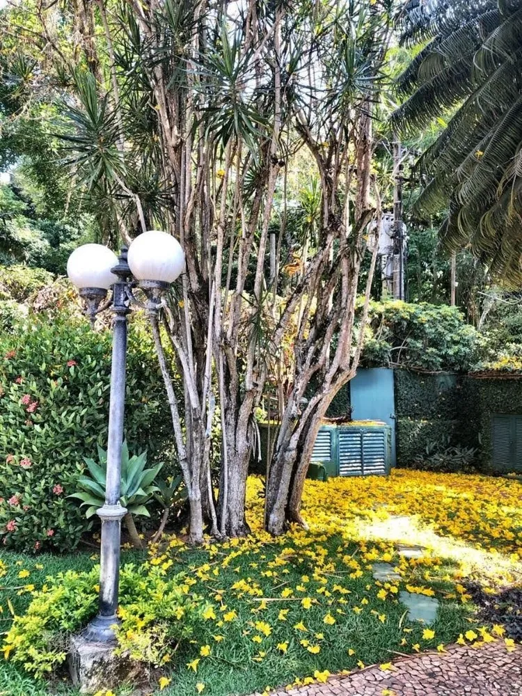 Casa, 4 quartos, 1035 m² - Foto 5