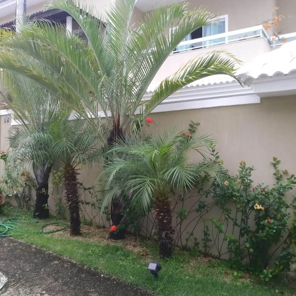 Casa, 4 quartos, 190 m² - Foto 31