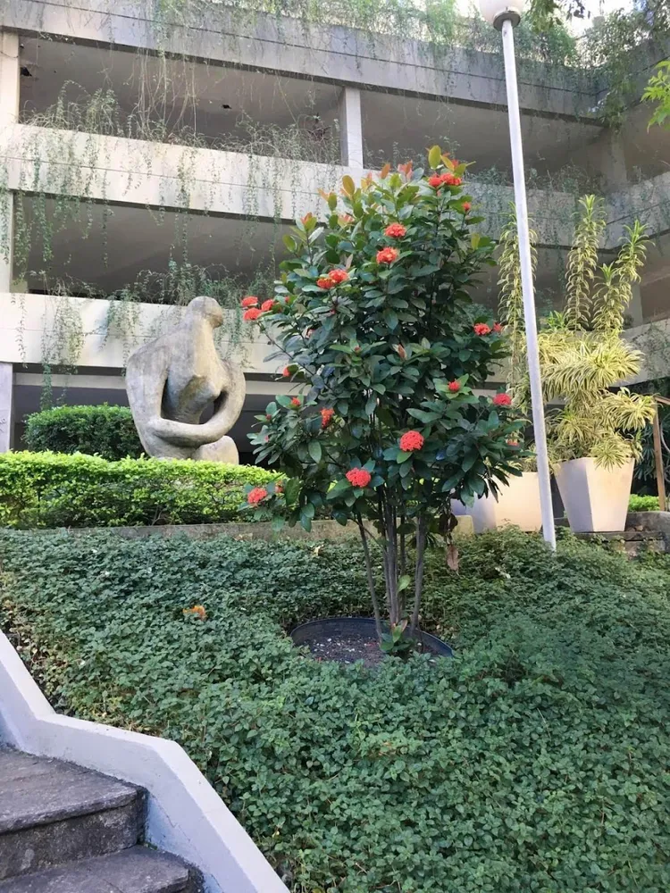 Apartamento, 2 quartos, 77 m² - Foto 18