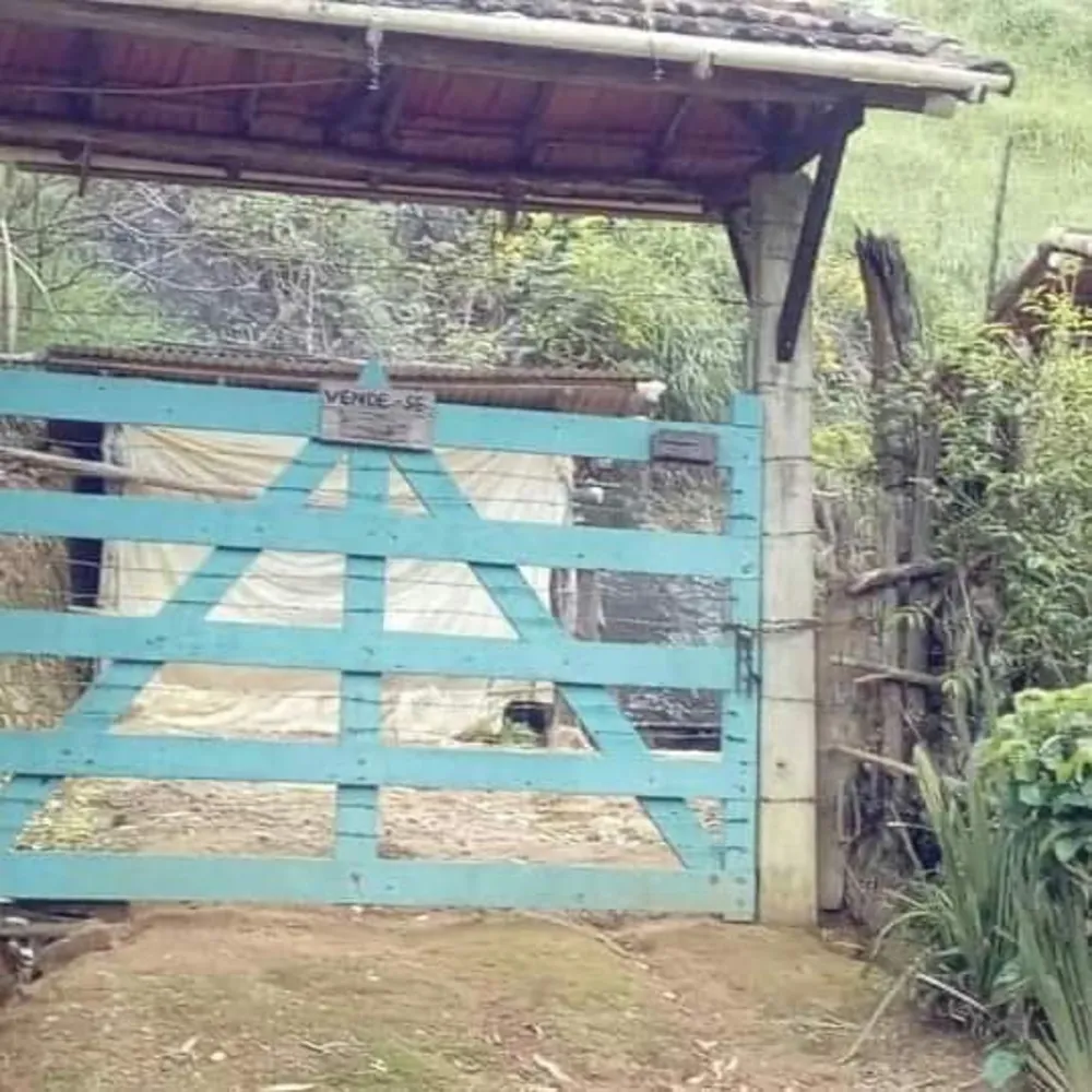 Sítio, 2 quartos, 4 m² - Foto 6
