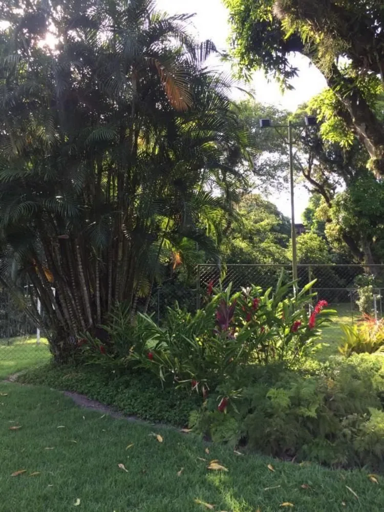 Chácara, 3 quartos - Foto 18