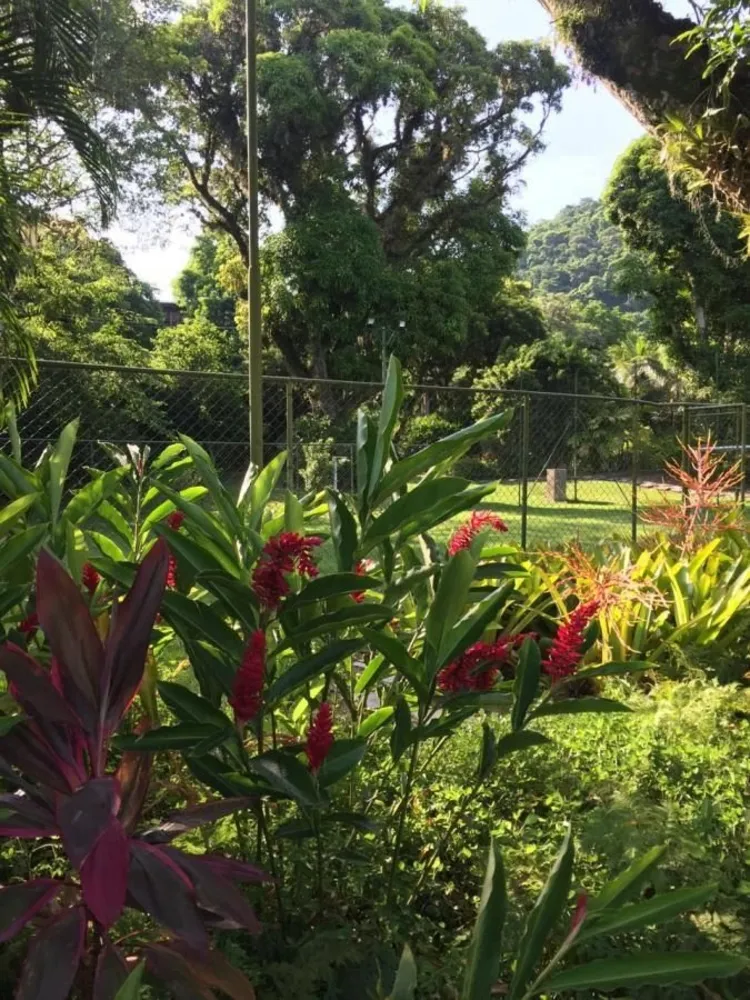 Chácara, 3 quartos - Foto 17