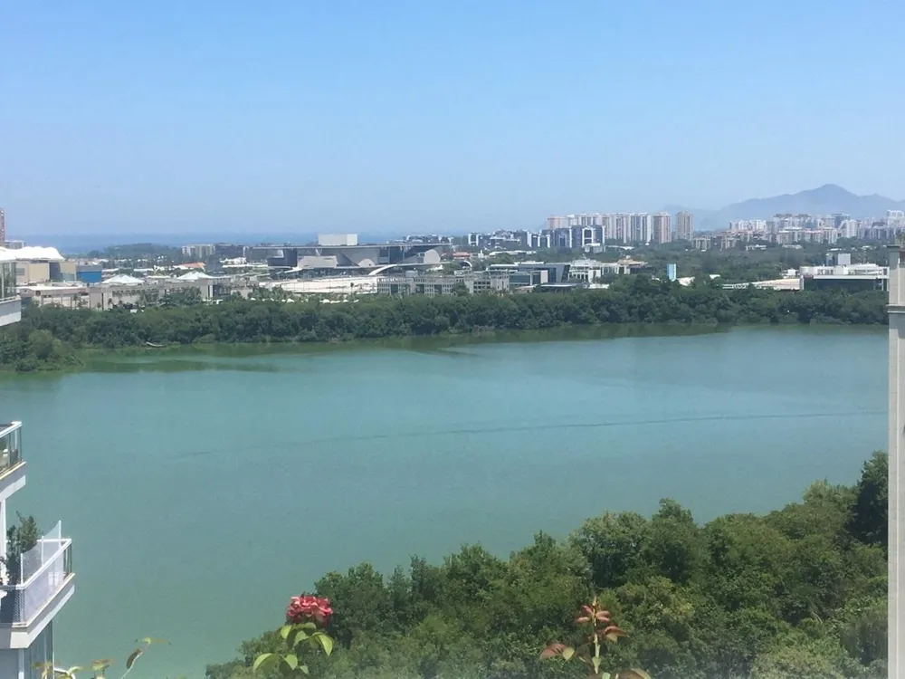 Cobertura, 3 quartos, 232 m² - Foto 17