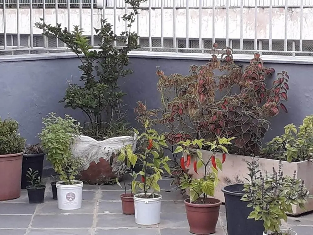 Apartamento, 2 quartos, 56 m² - Foto 31