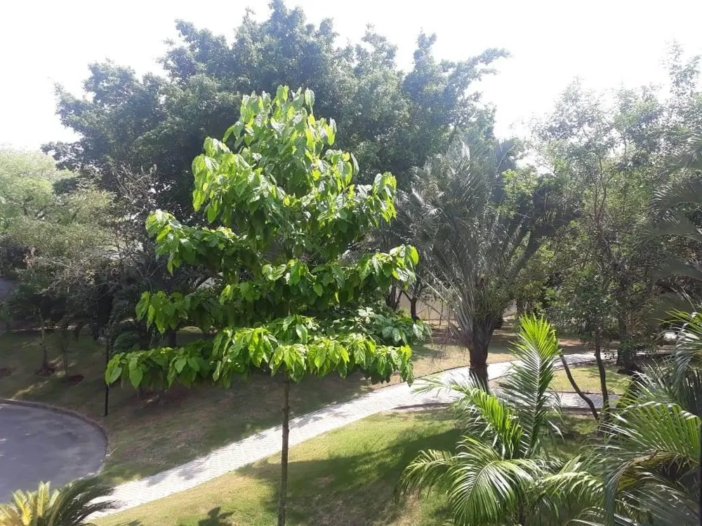 Apartamento, 4 quartos, 244 m² - Foto 12