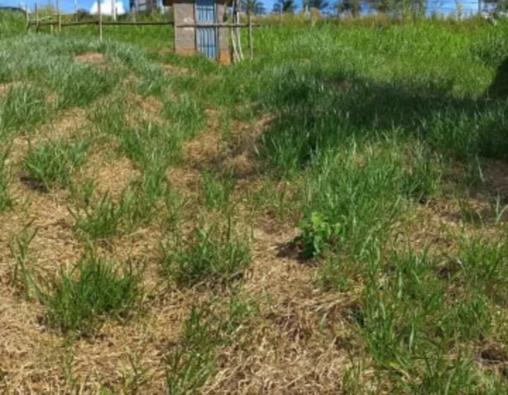 Terreno, 275 m² - Foto 4