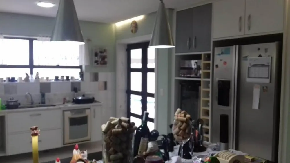 Casa, 4 quartos, 540 m² - Foto 38