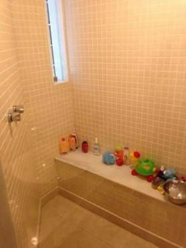 Casa, 4 quartos, 250 m² - Foto 14
