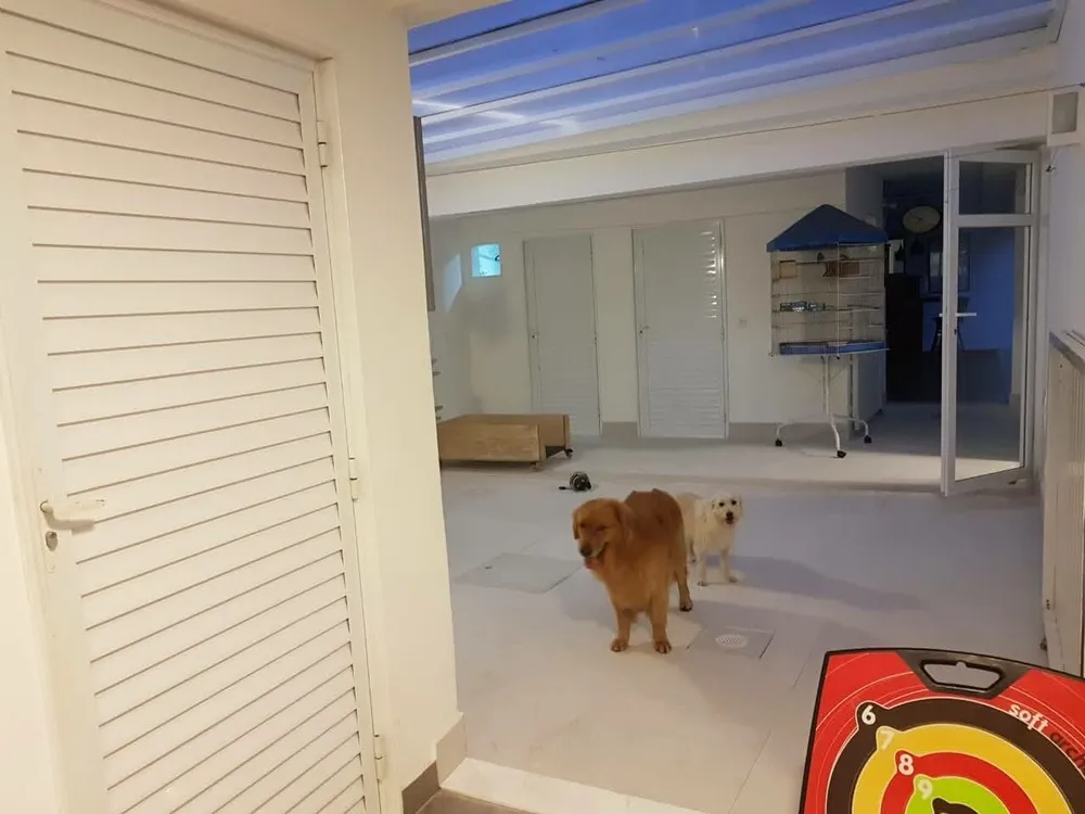 Casa, 5 quartos, 527 m² - Foto 12