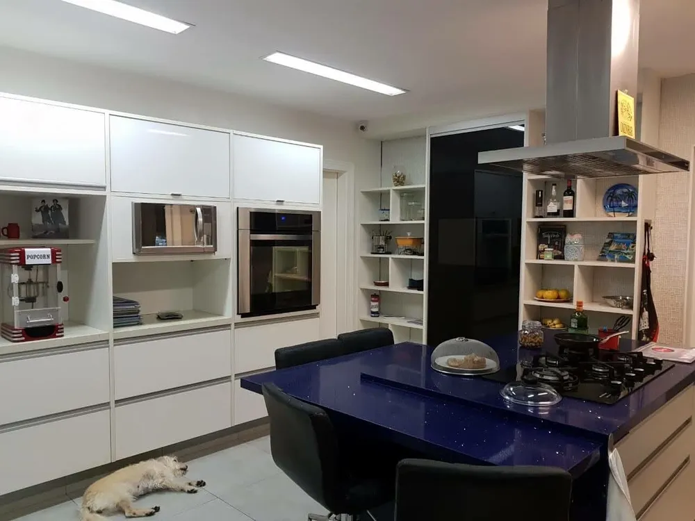 Casa, 5 quartos, 527 m² - Foto 4
