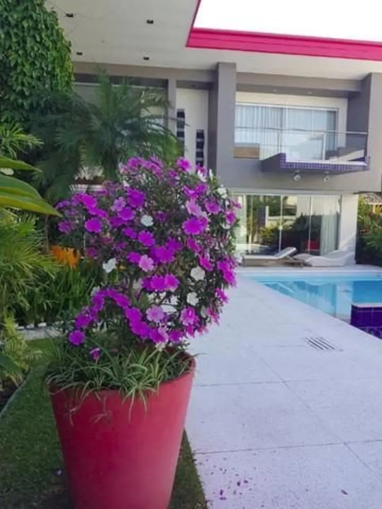 Casa, 5 quartos, 600 m² - Foto 13