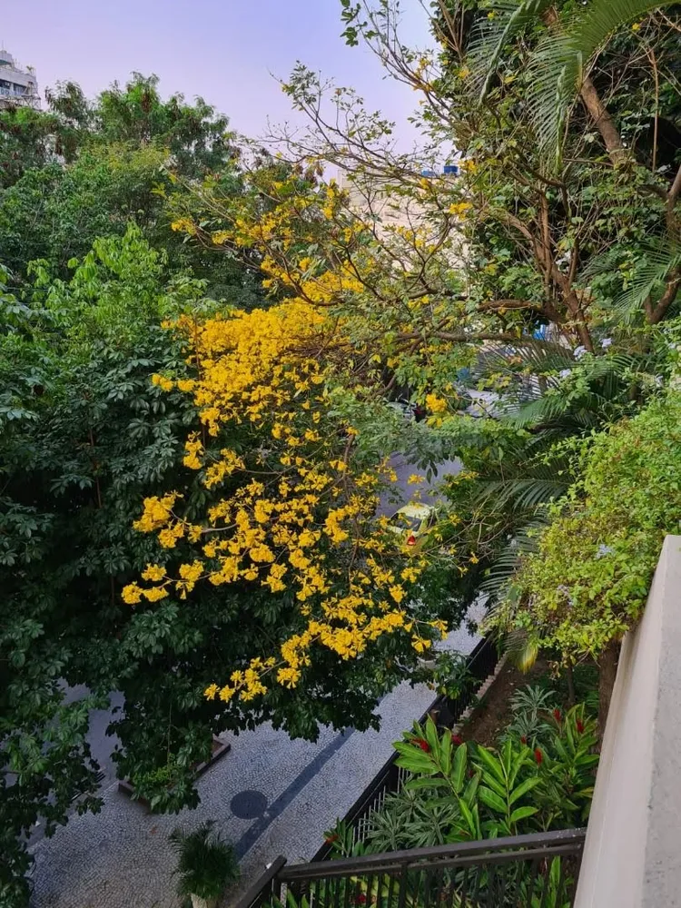 Apartamento, 2 quartos, 87 m² - Foto 7