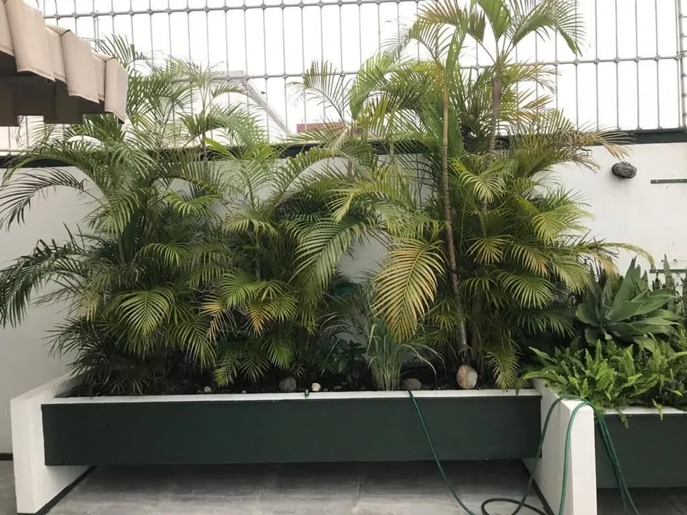 Cobertura, 4 quartos, 340 m² - Foto 10