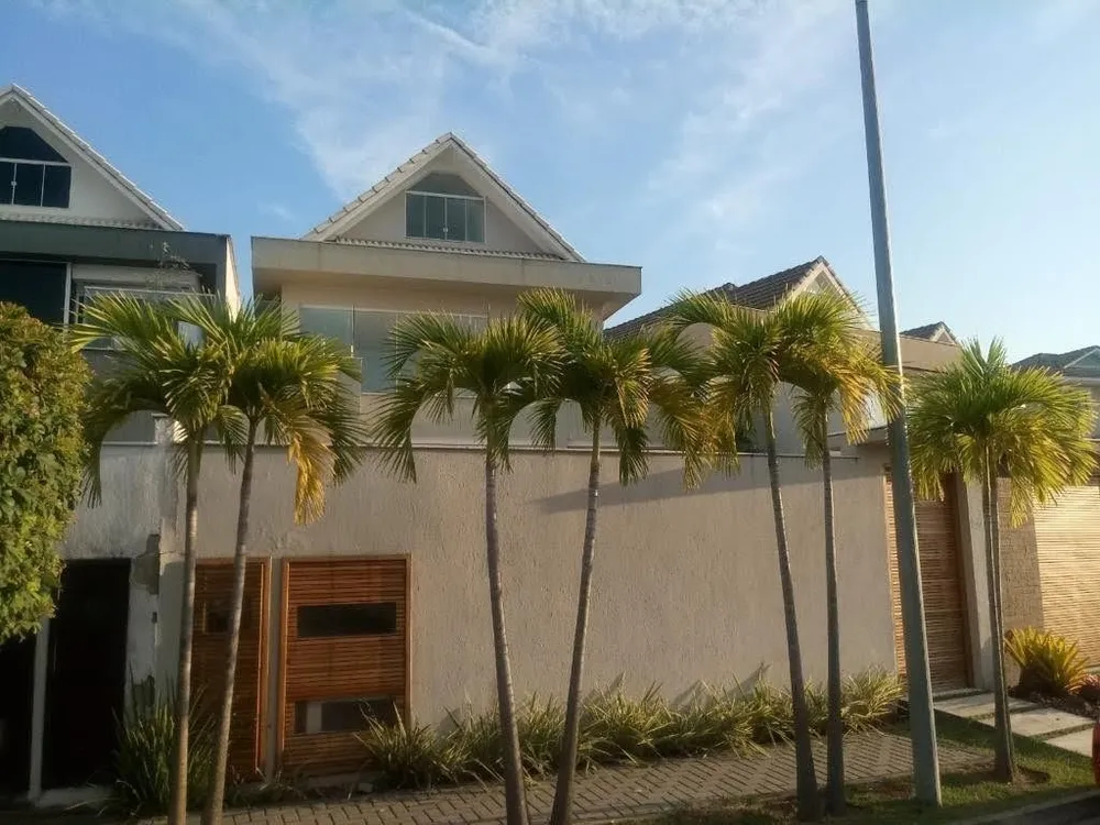 Casa, 5 quartos, 300 m² - Foto 10