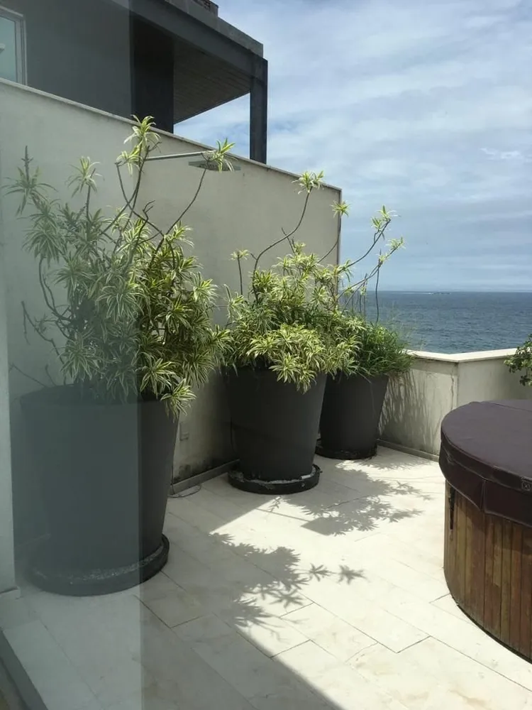 Cobertura, 3 quartos, 452 m² - Foto 3