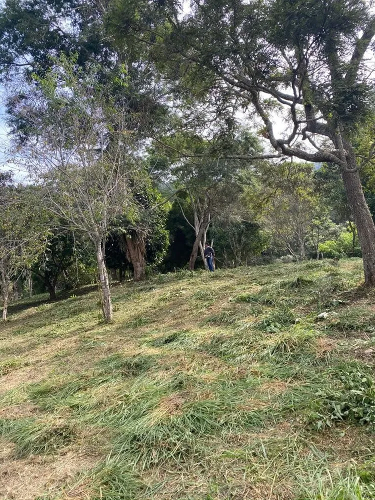 Terreno, 31 hectares - Foto 4
