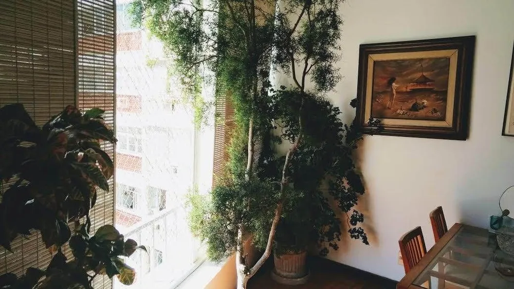 Apartamento, 3 quartos, 180 m² - Foto 13
