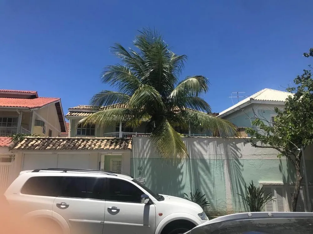 Casa, 4 quartos, 250 m² - Foto 38