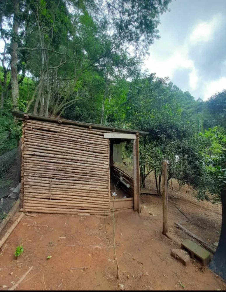 Sítio, 20 quartos, 3 hectares - Foto 31