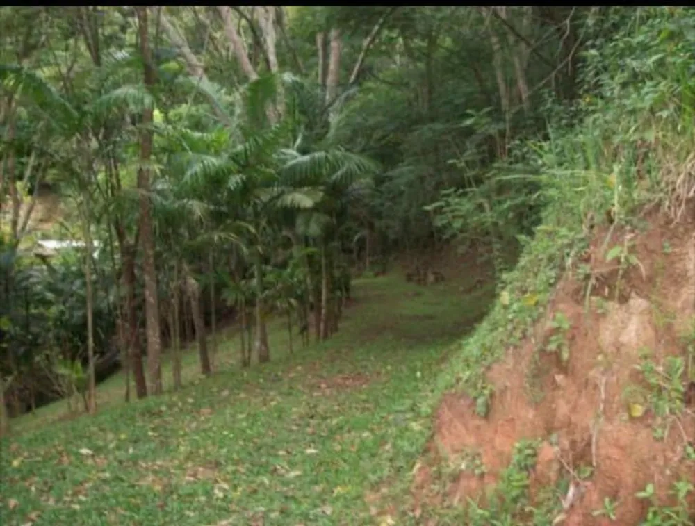 Sítio, 20 quartos, 3 hectares - Foto 47