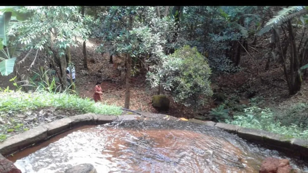 Sítio, 20 quartos, 3 hectares - Foto 49