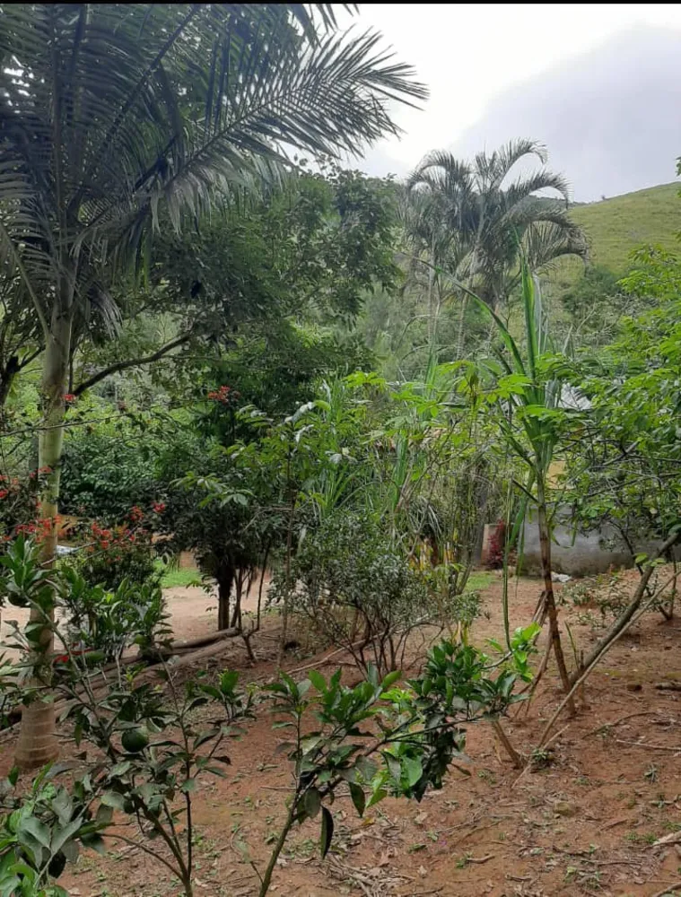 Sítio, 20 quartos, 3 hectares - Foto 39
