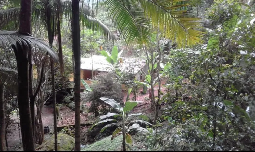 Sítio, 20 quartos, 3 hectares - Foto 46