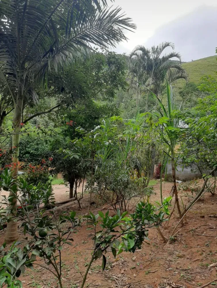 Sítio, 20 quartos, 3 hectares - Foto 40