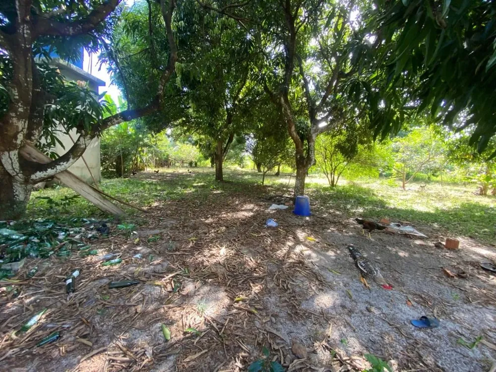 Terreno, 2 hectares - Foto 7