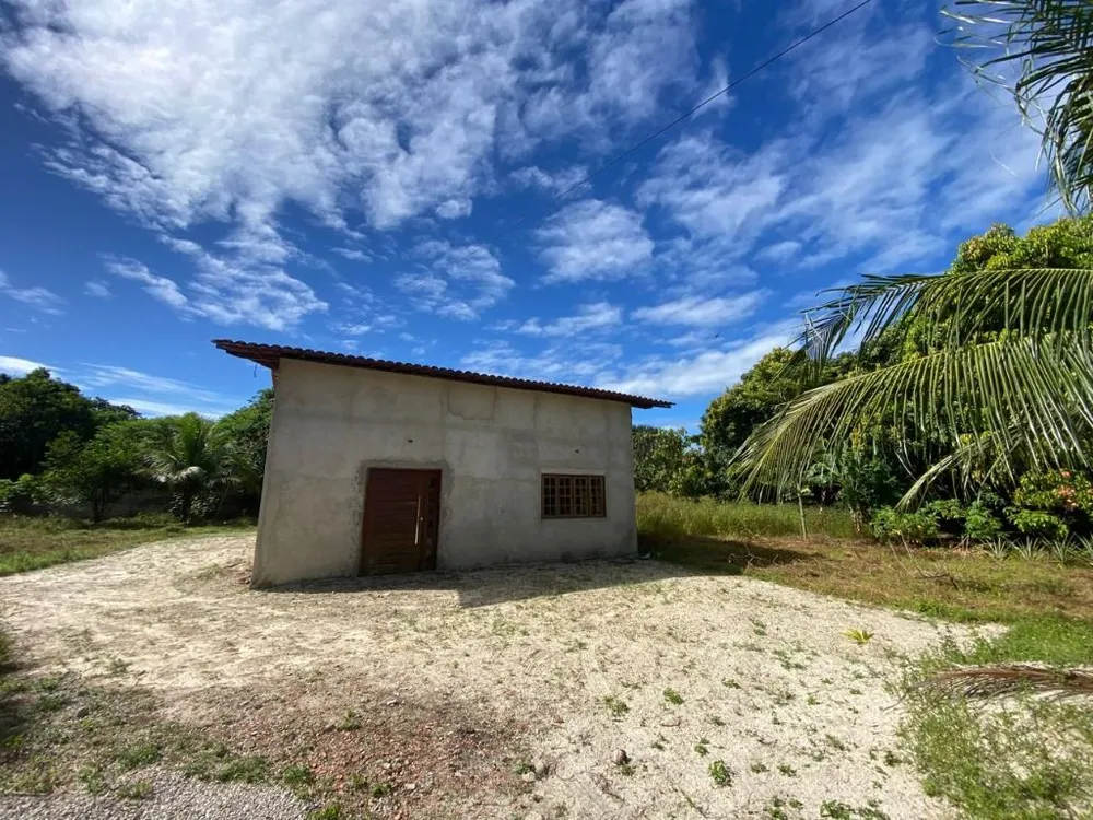 Terreno, 2 hectares - Foto 4