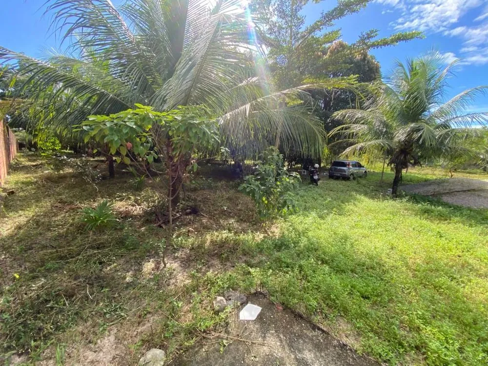 Terreno, 2 hectares - Foto 8