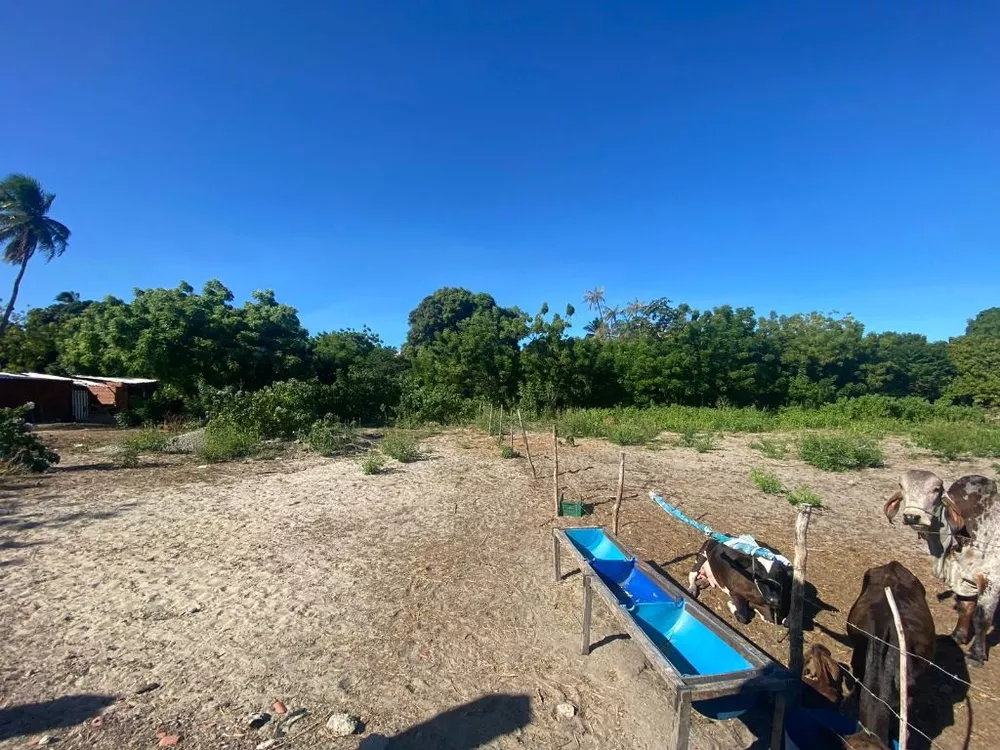 Terreno à venda, 5000M2 - Foto 3