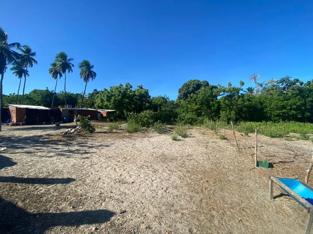 Terreno, 5000 m² - Foto 5