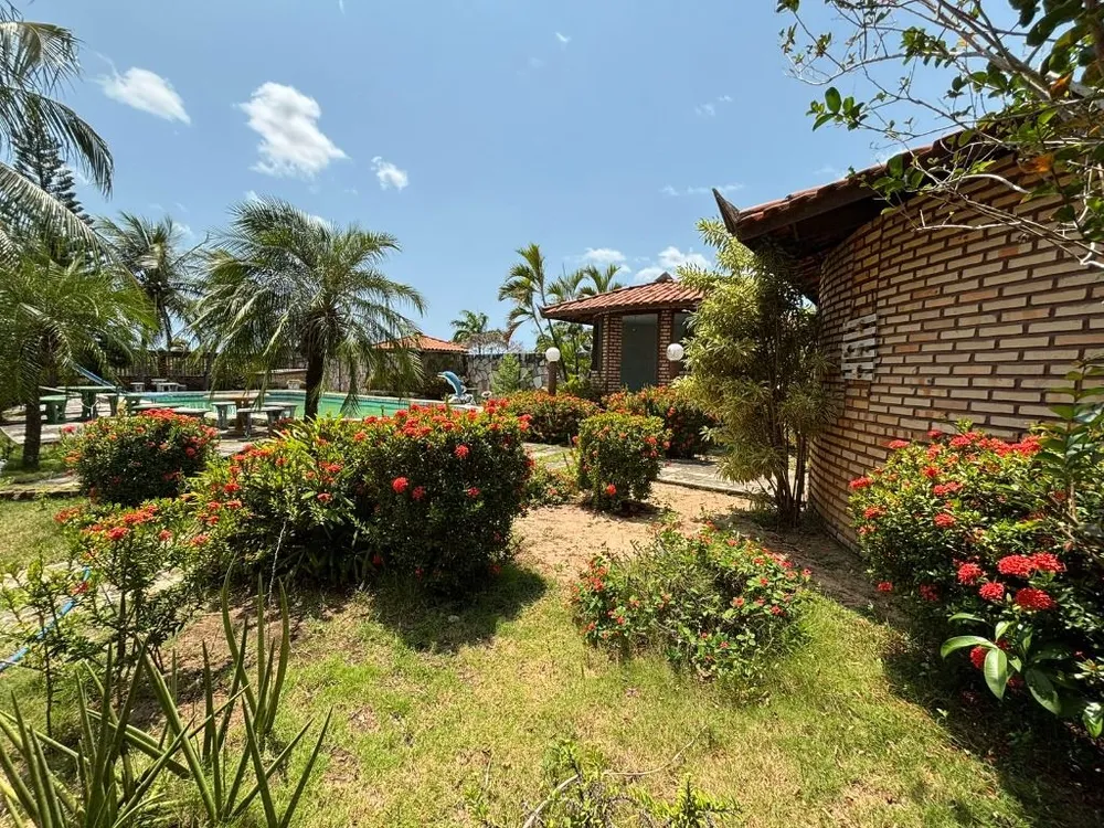 Sítio, 2 quartos, 2250 m² - Foto 3