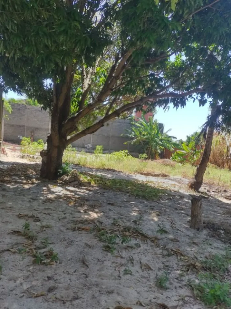 Terreno, 3200 m² - Foto 9
