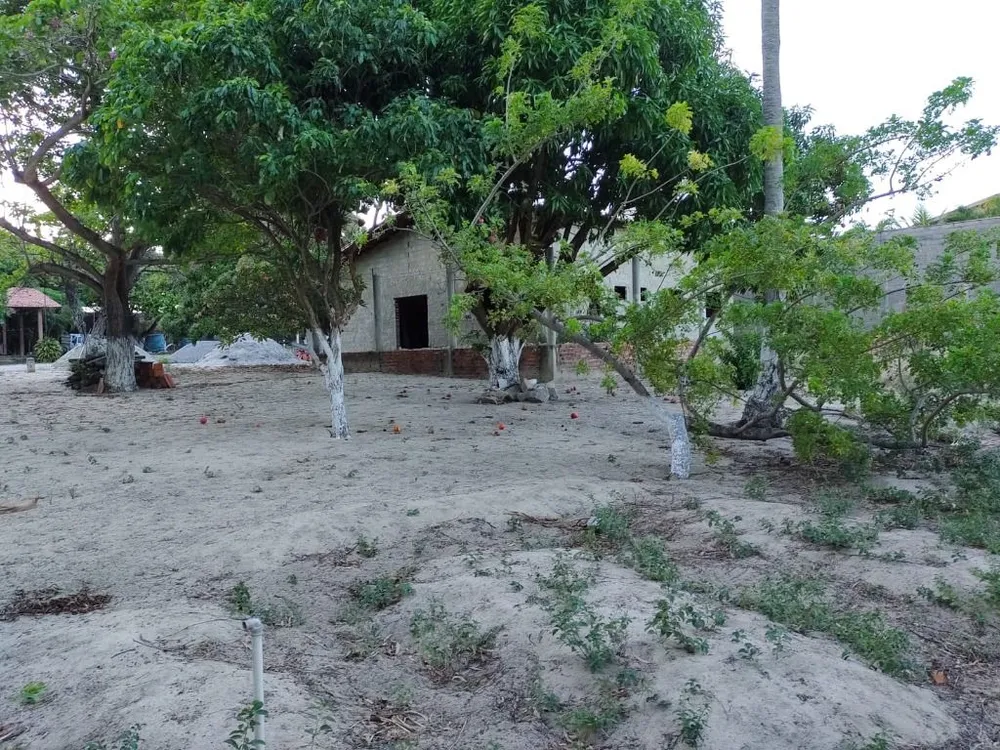 Terreno, 3200 m² - Foto 11