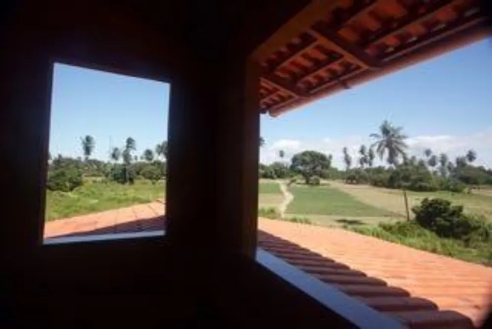 Sítio, 4 quartos, 1650 m² - Foto 15