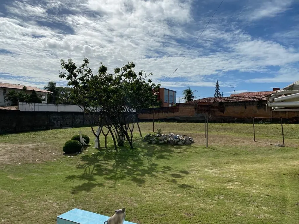 Terreno, 1950 m² - Foto 5